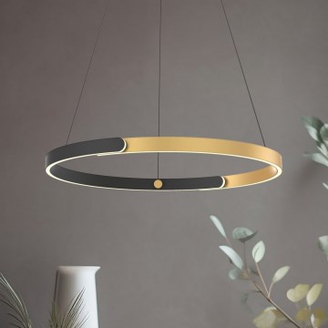 Zuma Line - LED ljusreglerad ljuskrona på textilsladd LED/30W/230V svart/guld