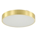 Zuma Line - LED ljusreglerad taklampa till badrum LED/50W/230V 3000-6000K diameter 50 cm IP44 guld + fjärrkontroll