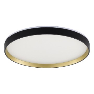 Zuma Line - LED RGBW Ljusreglerad vägglampa för badrum LED/32W/230V + LED/8W 3000-6000K IP44 svart/guld + fjärrkontroll
