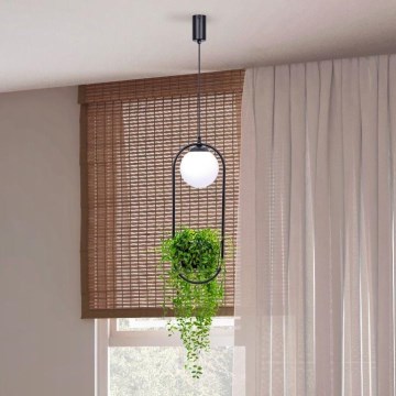 Zuma Line - Ljuskrona med textilsladd 1xE14/40W/230V svart