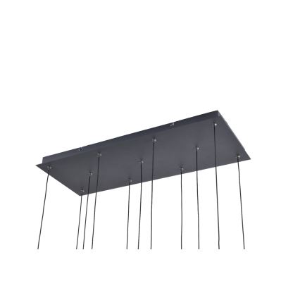 Zuma Line - LED-pendel med vajer 11xLED/3W/230V svart
