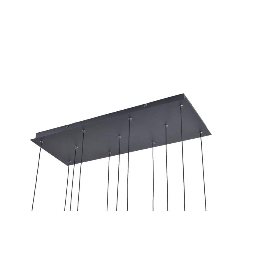 Zuma Line - LED-pendel med vajer 11xLED/3W/230V svart