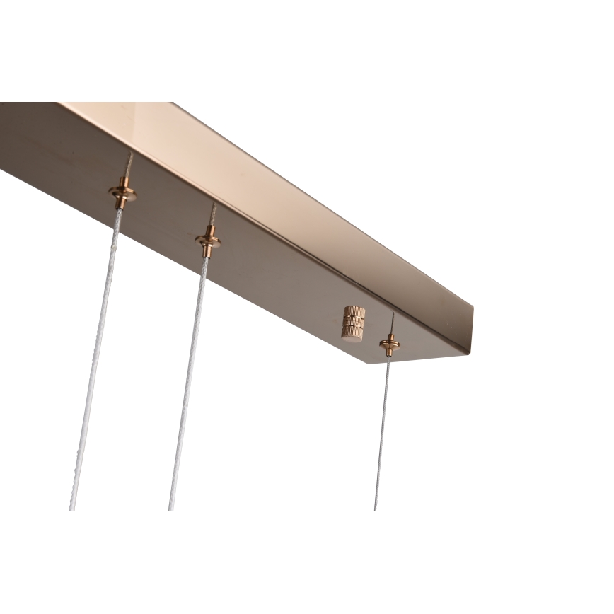 Zuma Line - LED-ljuskrona på vajer LED/36W/230V roséguld
