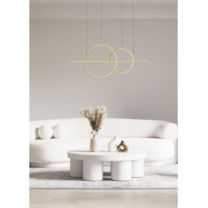 Zuma Line - LED dimbar taklampa LED/34W/230V guld