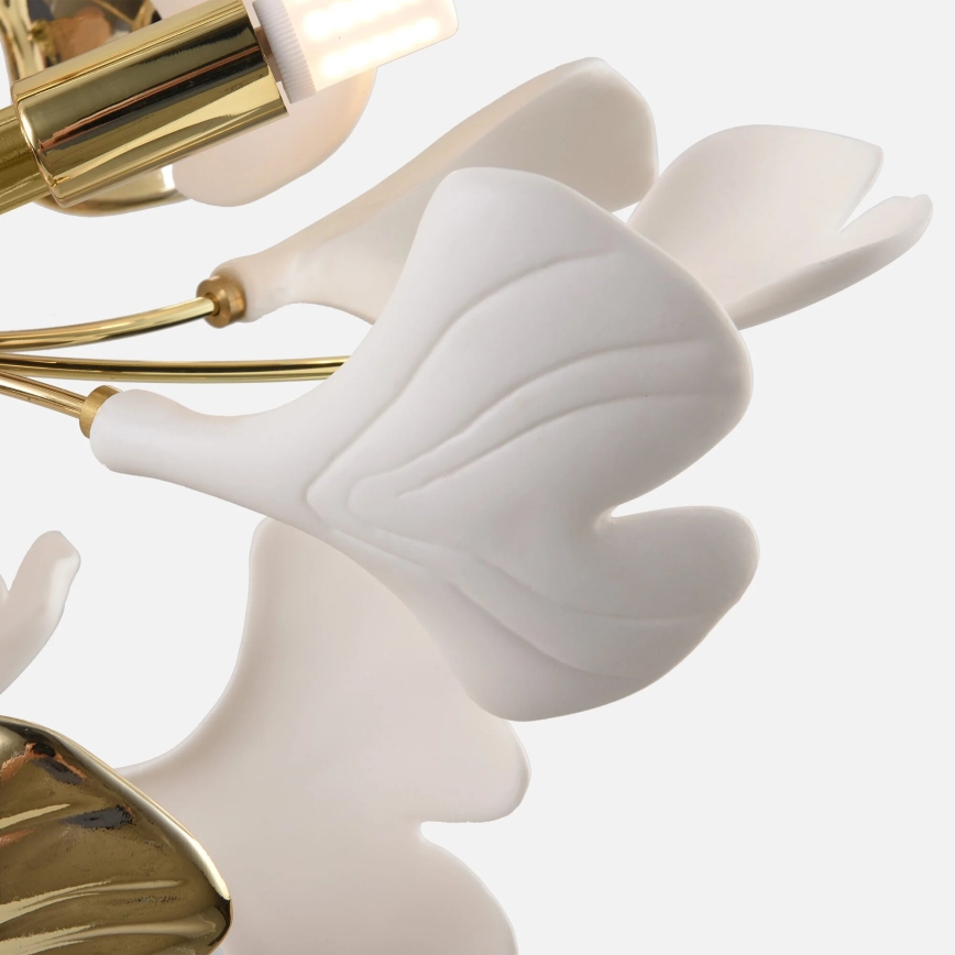 Zuma Line - ytmonterad takkrona 6xG9/42W/230V Ø 70 cm, guld