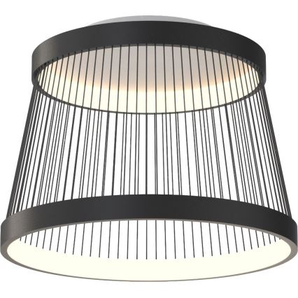 Zuma Line - LED Dimbar taklampa LED/32W/230V 2700-6000K svart + fjärrkontroll
