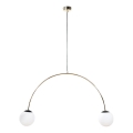 Zuma Line - Pendellampa på kabel 2xE14/10W/230V, guldfärgad