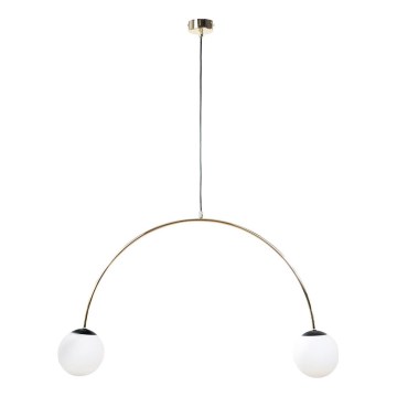Zuma Line - Pendellampa på kabel 2xE14/10W/230V, guldfärgad