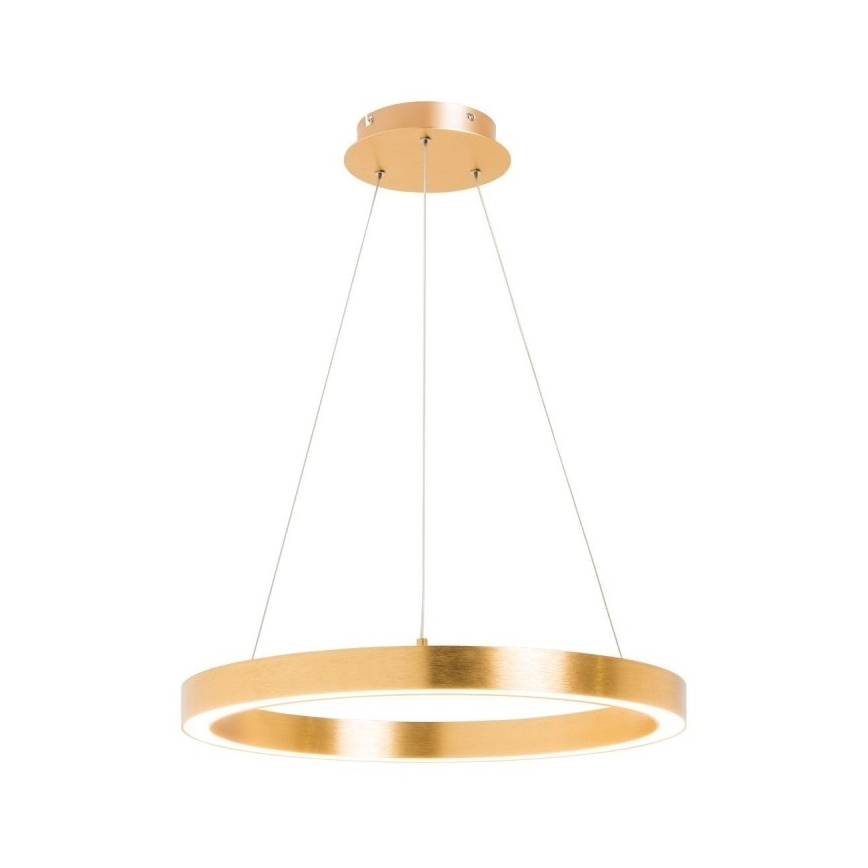 Zuma Line - LED Ljuskrona med upphängningsrem  1xLED/30W/230V 40 cm gyllene 