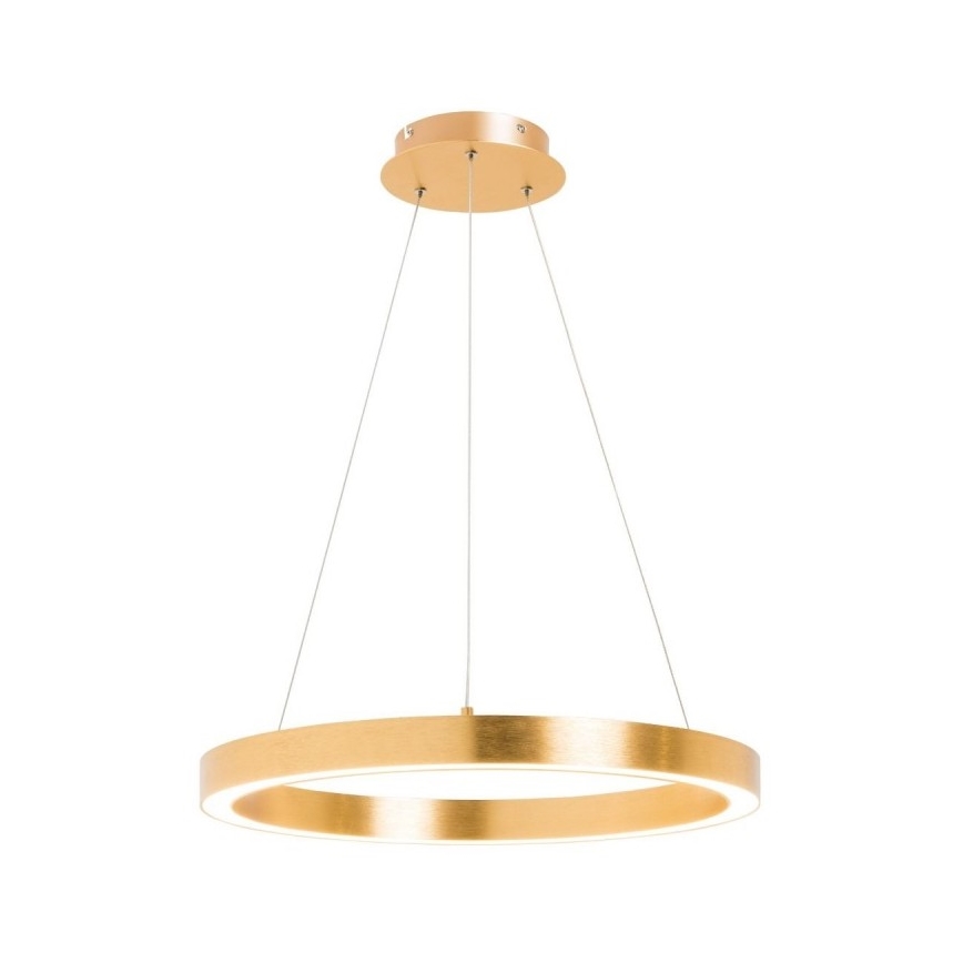 Zuma Line - LED Ljuskrona med upphängningsrem  1xLED/40W/230V diameter  50 cm gyllene 