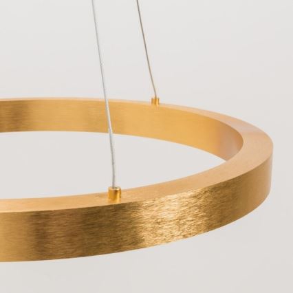 Zuma Line - LED Ljuskrona med upphängningsrem  1xLED/40W/230V diameter  50 cm gyllene 