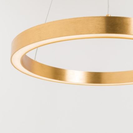 Zuma Line - LED Ljuskrona med upphängningsrem  1xLED/40W/230V diameter  50 cm gyllene 
