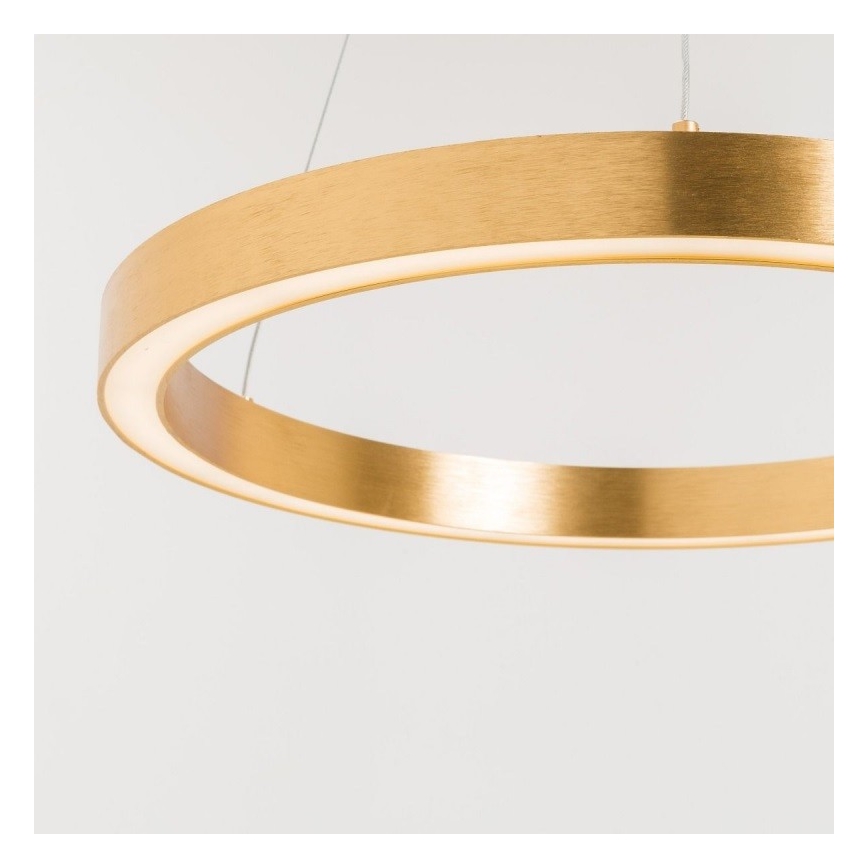 Zuma Line - LED Ljuskrona med upphängningsrem  1xLED/40W/230V diameter  50 cm gyllene 