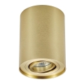 Zuma Line - Spotlampa 1xGU10/50W/230V guld