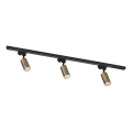 Zuma Line - Spotlampa för skensystem 3xGU10/35W/230V svart/guld