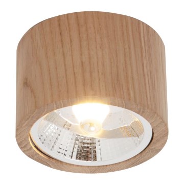 Zuma Line - Spotlight 1xGU10/15W/230V ek