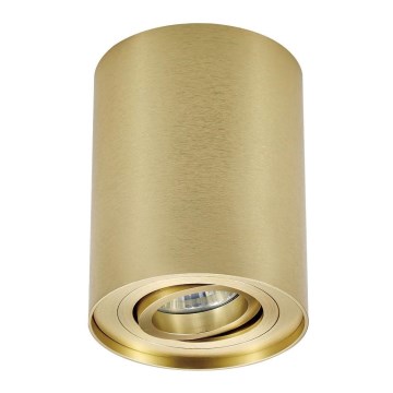 Zuma Line - Spotlight 1xGU10/50W/230V guld