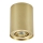 Zuma Line - Spotlight 1xGU10/50W/230V guld