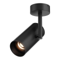 Zuma Line - Spotlight  1xGU10/50W/230V svart 