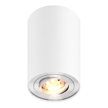 Zuma Line - Spotlight 1xGU10/50W/230V vit