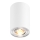 Zuma Line - Spotlight 1xGU10/50W/230V vit