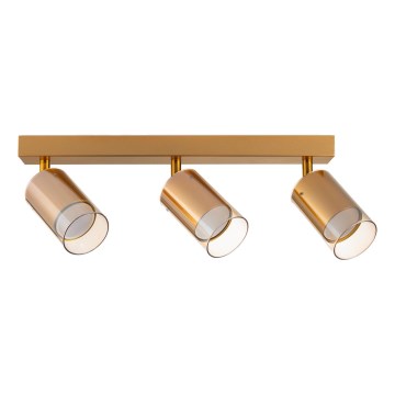 Zuma Line - Spotlight 3xGU10/50W/230V guld