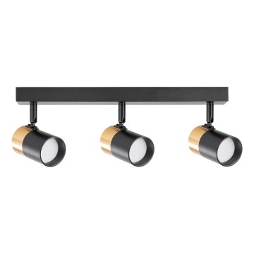 Zuma Line - Spotlight 3xGU10/50W/230V svart/guld