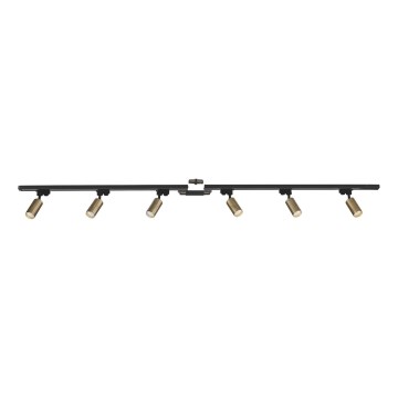 Zuma Line - Spotlight i skensystem 6xGU10/35W/230V svart/guld